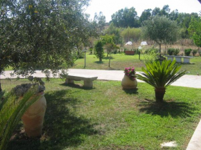 Le Mimose